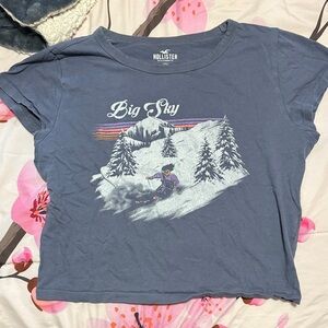 Hollister Kids Big Sky Snow Adventure Tee - Gray